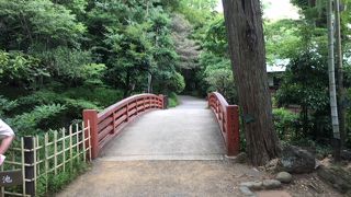 小浜池を中心にした庭園