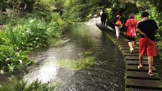 これぞ水の街三島