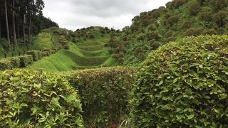 難攻不落だろう