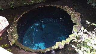 富士山雪解け湧き水