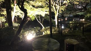 優雅な日本庭園