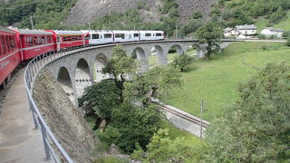 普通列車で十分です