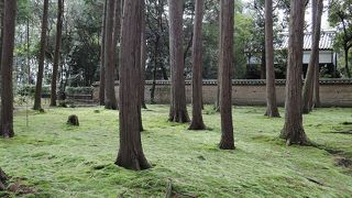 見どころはお廟前の苔だと思います