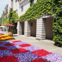 ホテル敷地内の通り