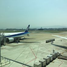  福岡空港にて