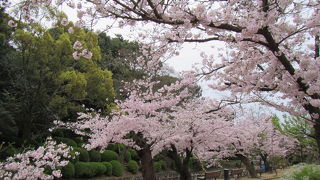 道後温泉を訪れた際の朝の散歩などに
