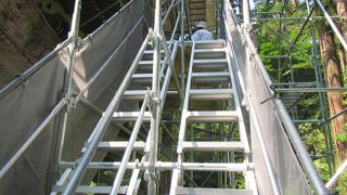 明治以来の特別拝観は何のこっちゃ…