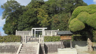 夫婦仲良くです