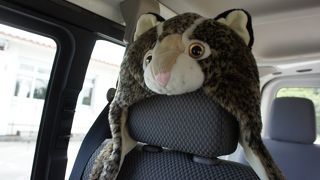 乗り捨てできて便利