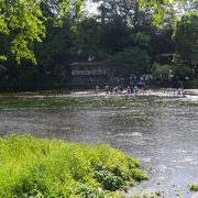 富士山からの湧水