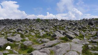 山頂の溶岩が広がる風景が独特