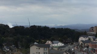 空港から鹿児島市内に行く途中のけしが一番でした