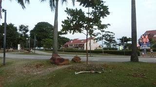 チリクラブを食べに行きました