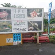 魚のテーマパーク