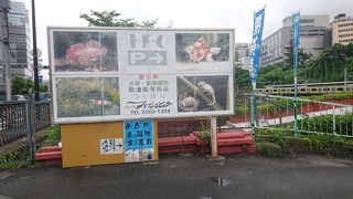 魚のテーマパーク