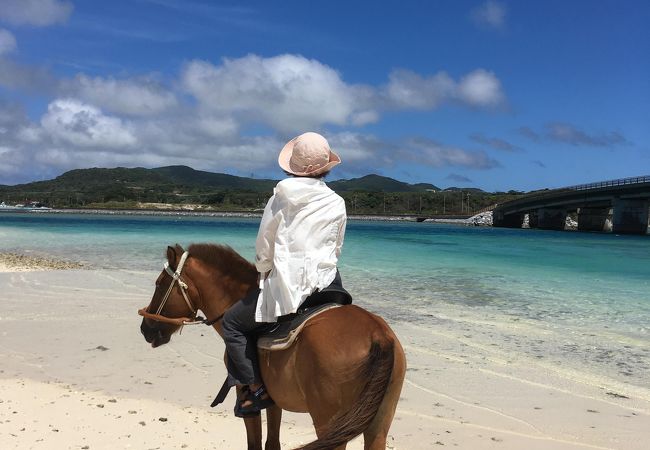 与那国馬に乗って浜散歩をしました