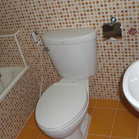 トイレは、バスタブのすぐ横です。なんとなく落ち着きませんね。