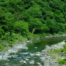 上流部の渓流はとてもきれい。川魚の宝庫にもなっているようです