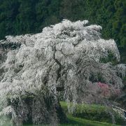 大きさに圧倒される