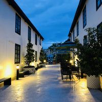 雨に濡れた姿も素敵