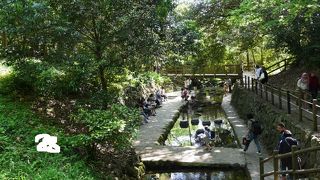 清流に触れられるスポット