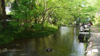 町中で味わう清流の道