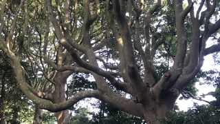 神秘のパワーと宝クジ