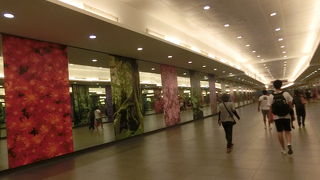 ガーデンズバイザベイに行く時に乗降しました