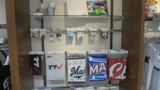 謎の魚クッション