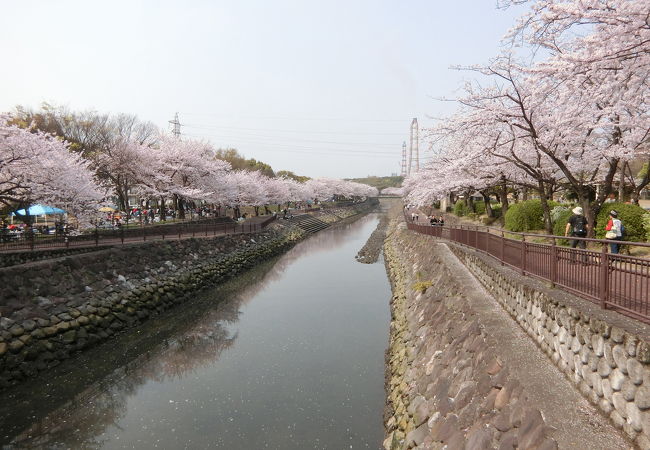 大分市の公園 植物園 クチコミ人気ランキングtop フォートラベル 大分県 大分市の公園 植物園 クチコミ人気ランキングtop フォートラベル 大分県