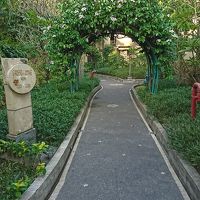 まるで森の中に居るような気分にさせてくれます。