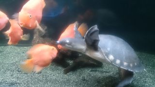 暑い日で一休みできました