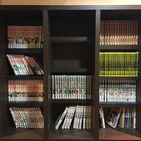 ピースメーカー、進撃の巨人、ワンピースなど男性向け多し。