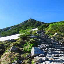 登山道から見上げる山頂