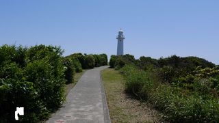 晴れた日の海岸風景は最高