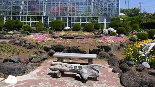 規模は大きくないけどきれい