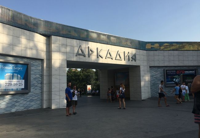 アルカーディヤ