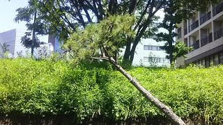 関所がこちらにあったそうです。