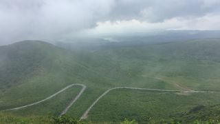 緑の芝生で覆われた