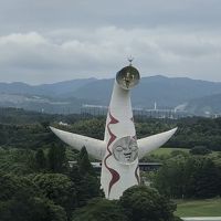 お部屋からの眺め