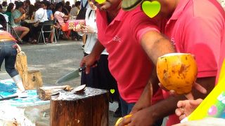 広い公園とイベント会場