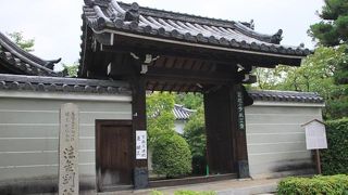 蓮の花が見事であり、歴史のある寺の風情に興味を覚えた