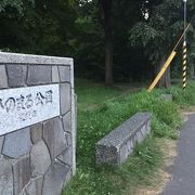 鬱蒼と生い茂る雑木林「日の丸公園」