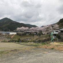 大泊駅