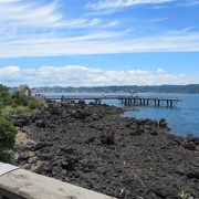 桜島海づり公園 クチコミ アクセス 営業時間 桜島 古里温泉 フォートラベル