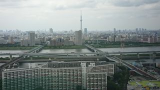 見晴らしがいい