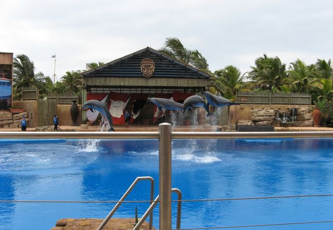 とても大きなマリンワールド