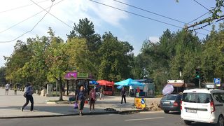 市街地は大きくなく見どころはそこそこ