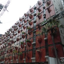 オーガニックビル