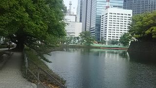 緑も綺麗ですし周りに水どりがいる姿などもとても自然でいいです